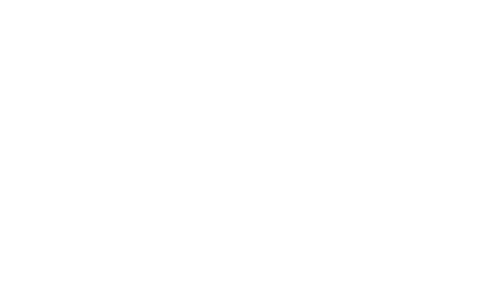 Night Tiger