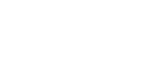 palmbaby