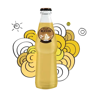 Uludağ Soda Legend Zencefil 250 ml